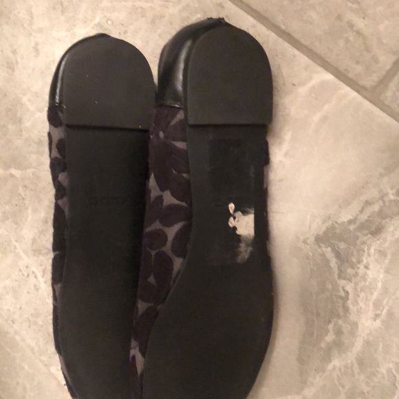 Aldo flats - Picture 4 of 5